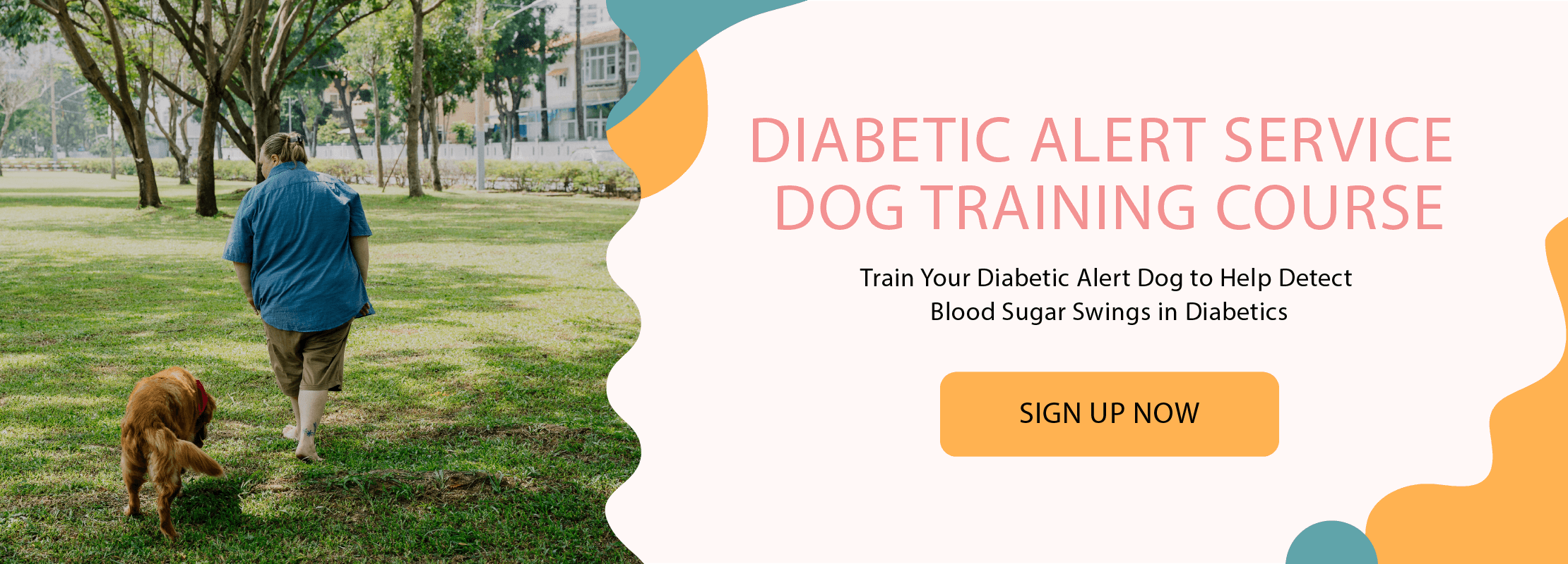 Best diabetic sale alert dog breeds